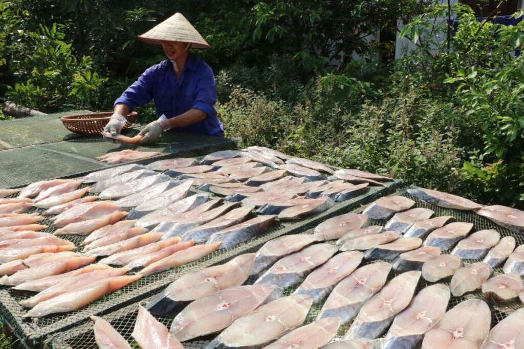 Cá Thu một nắng